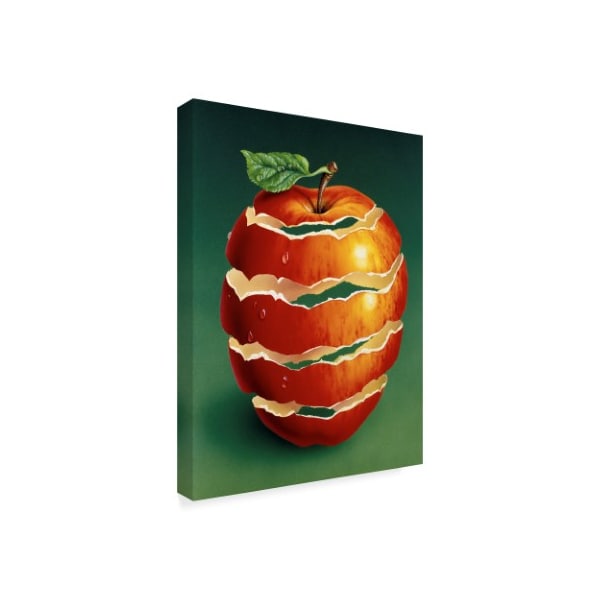 Harro Maass 'Red Apple Peal' Canvas Art,35x47